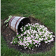 Illustration for article titled 20 Inspiring Flower Planters That Will Bring The Magic Into Your Garden